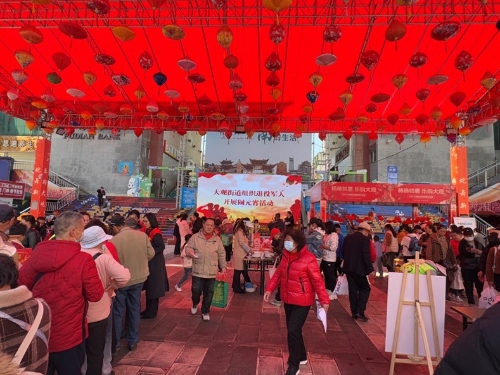 图片4