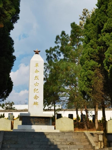 图片7