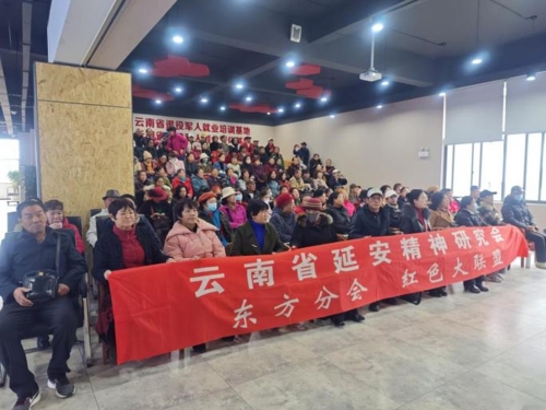 图片8