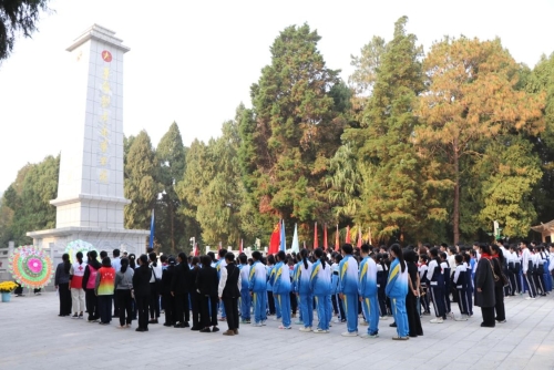 图片5