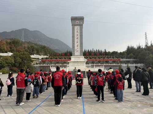 图片7