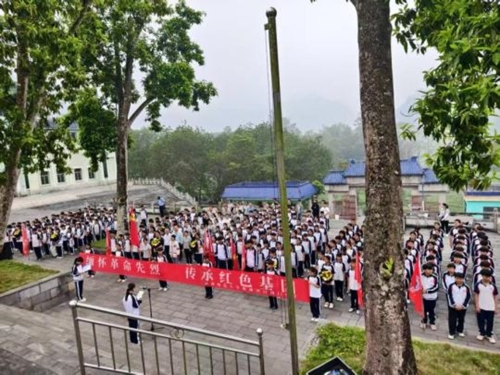 图片11
