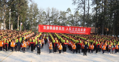 图片12