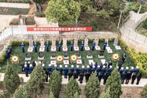 图片1111