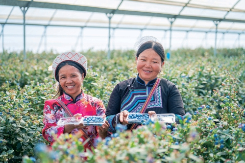 6d4f8e90368601bd197197d4e9bb3ed4