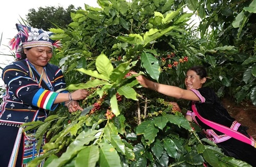 f1144533cde6c1b3f333360b0dc6d2c6