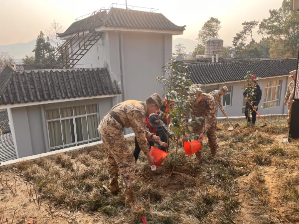 d0133cee-a058-4e4b-b2fd-eeafca4a5ec2